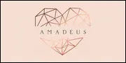 Amadeus for filtered display